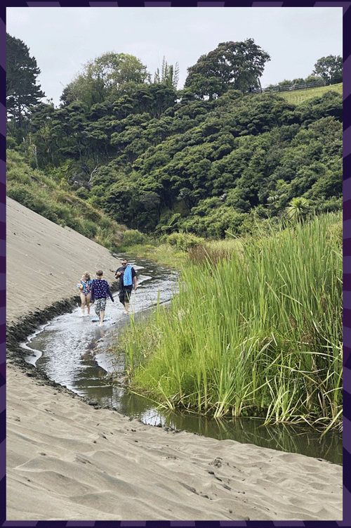 walk in stream2